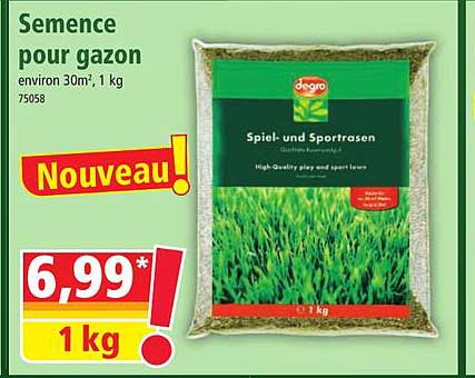 semence pour gazon