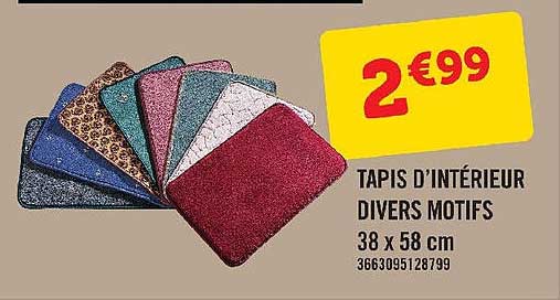 tapis d'intérieur divers motifs 38 x 58 cm