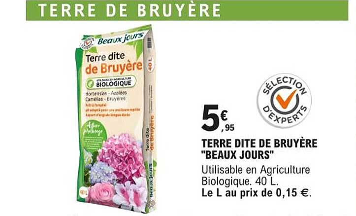 Terre Dite De Bruyère "beaux Jours"