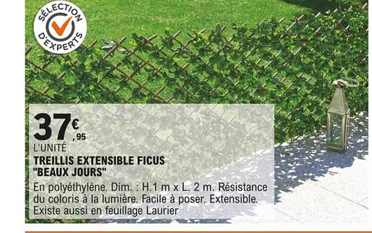 treillis extensible ficus "beaux jours"