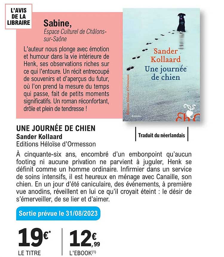 une journée de chien - sander kollaard