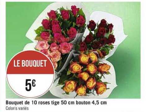 bouquet de 10 roses tige 50 cm bouton 4.5 cm