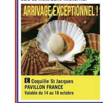 coquilles st jacques pavillon france