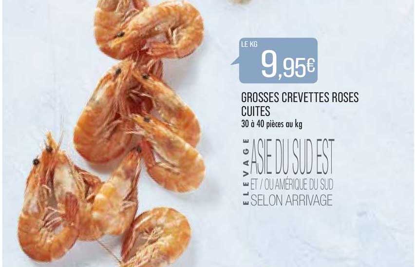 grosses crevettes roses cuites