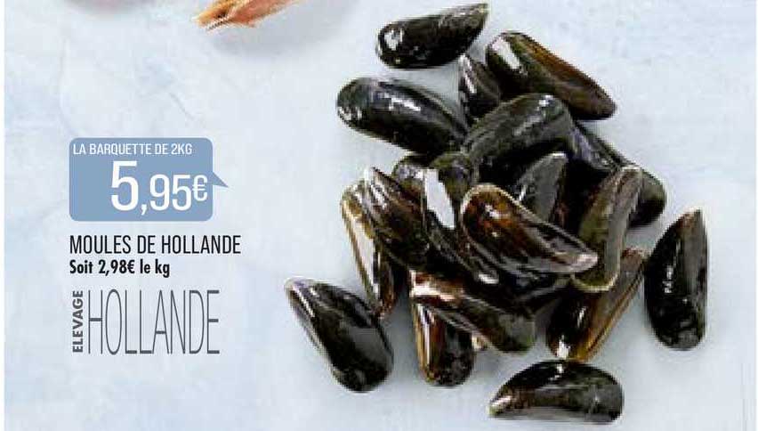 Moules De Hollande