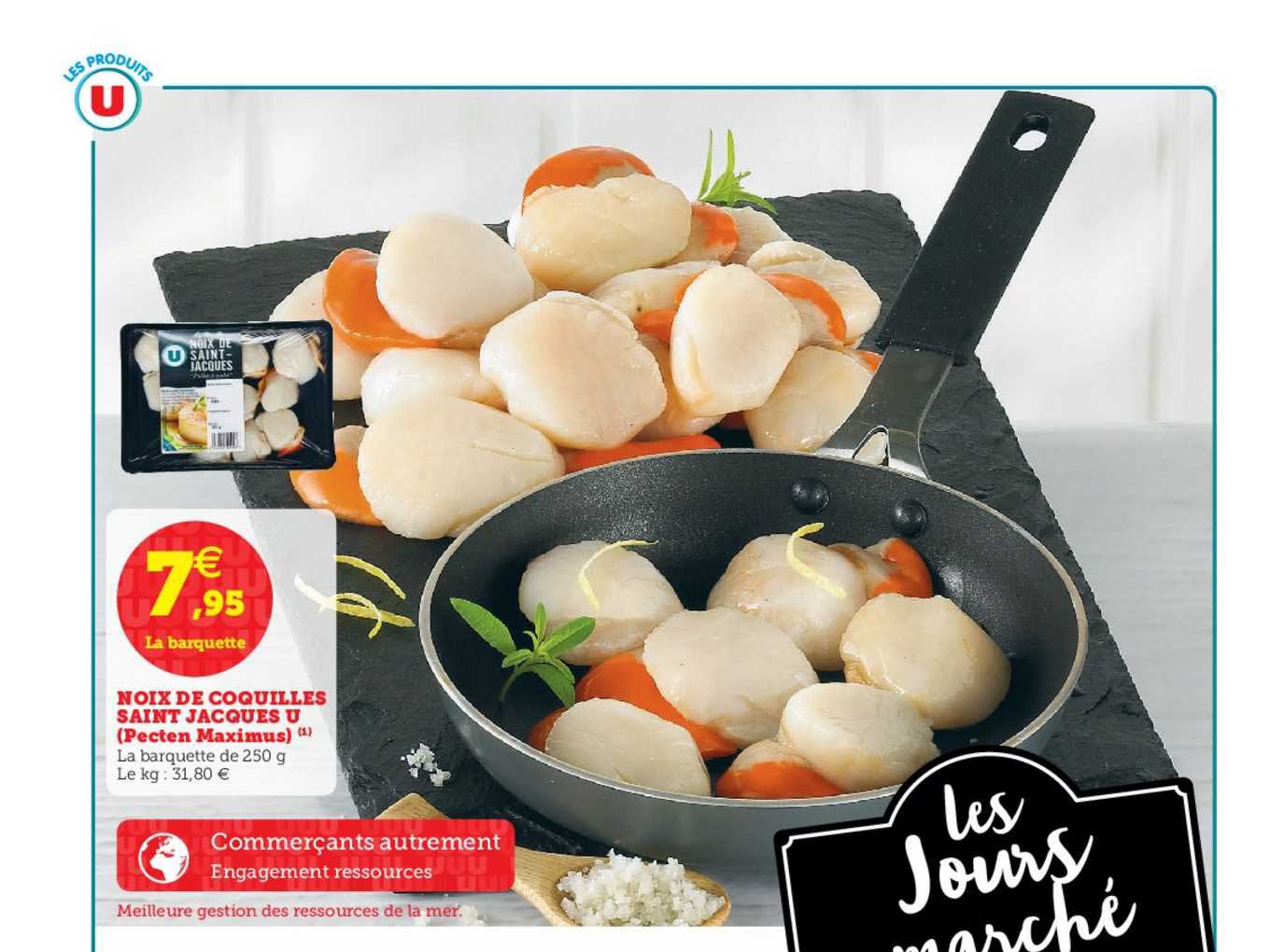 noix de coquilles saint jacques u