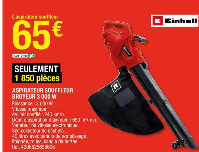 Aspirateur Souffleur Broyeur Einhell