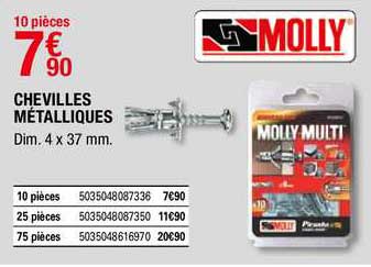 chevilles métalliques molly