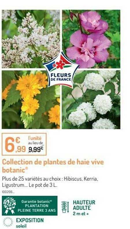 collection de plantes de haie vive botanic®