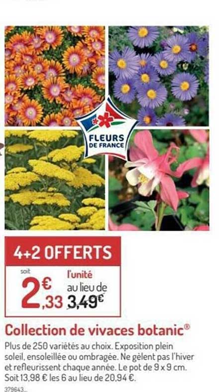 Collection De Vivaces Botanic®