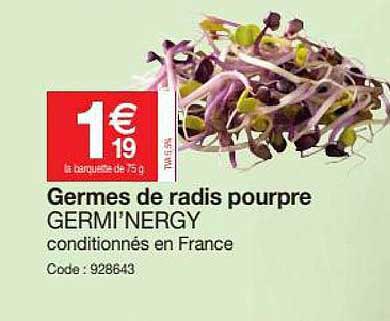 gemes de radis pourpre germi'nergy