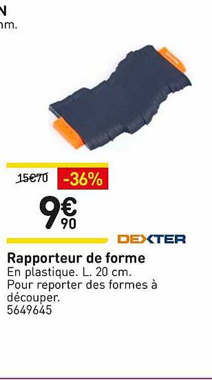 Rapporteur De Forme Dexter