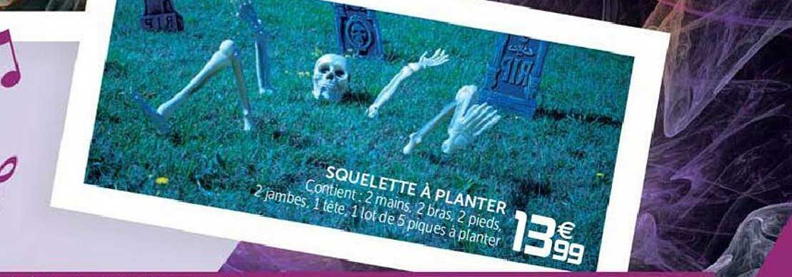 Squelette à Planter