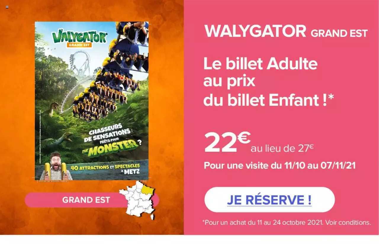 walygator grand est