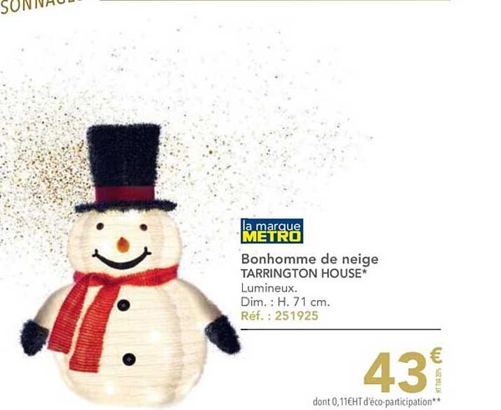 bonhomme de neige tarrington house