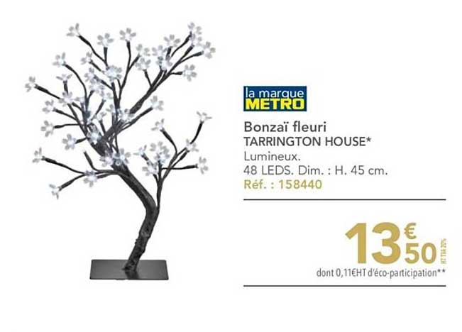 bonzaï fleuri tarrington house