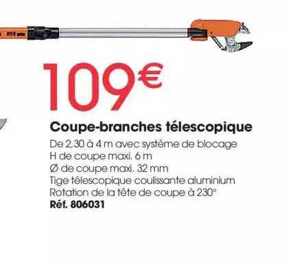 coupe-branches télescopique
