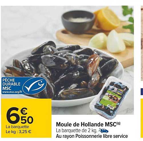 moule de holland msc