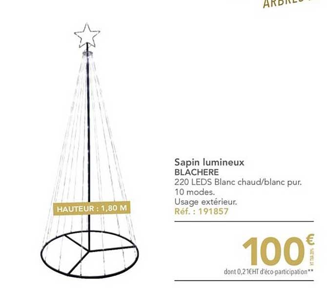 Sapin Lumineux Blachère