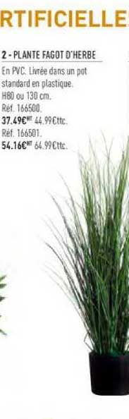 plante fagot d'herbe