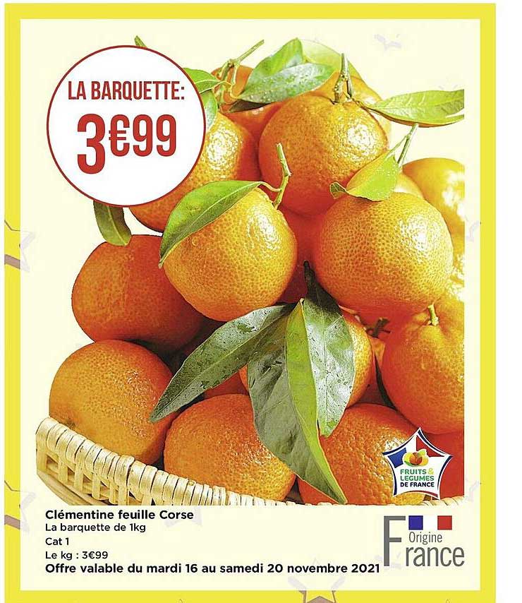 Clémentine Feuille Corse