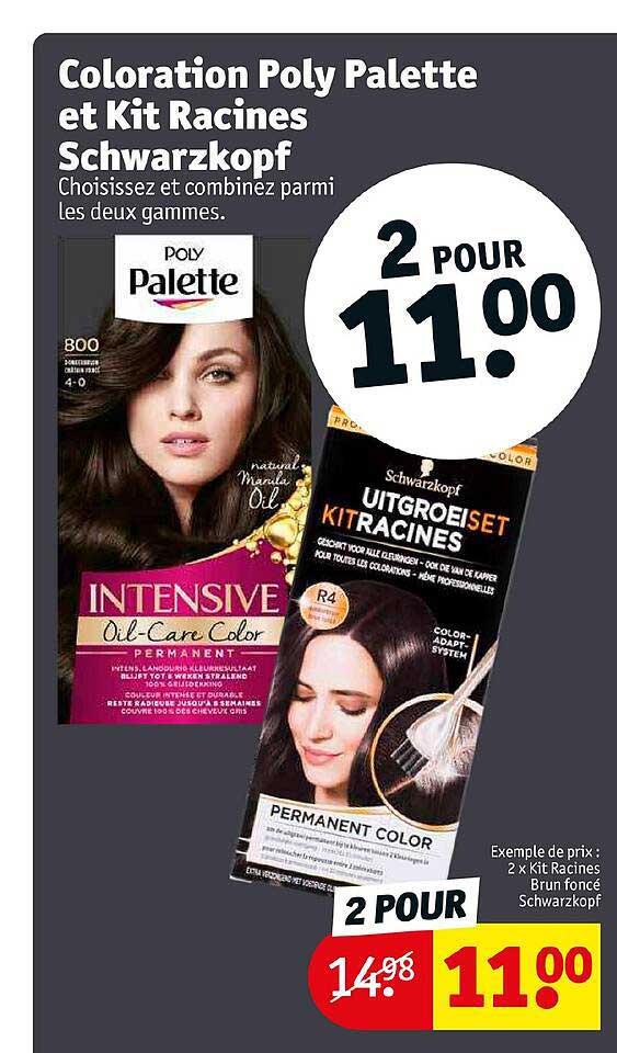 Coloration Poly Palette Et Kit Racidnes Schwarzkopf