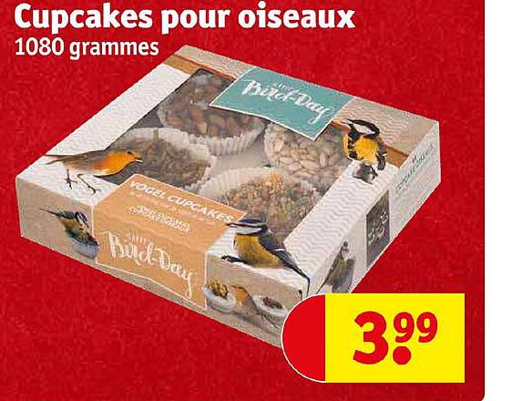 Cupcakes Pour Oiseaux