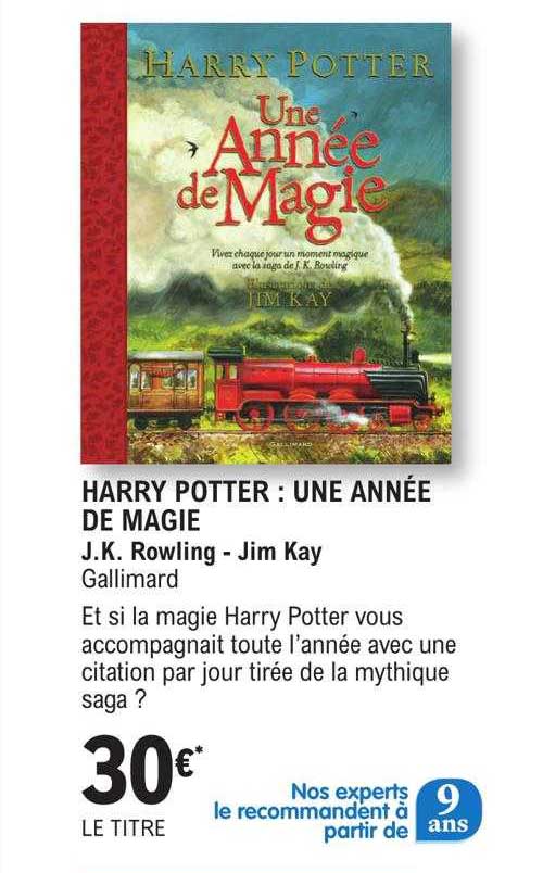 harry potter : une année de magie - j.k. rowling - jim kay gallimard