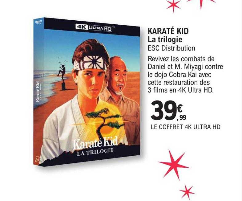 karaté kid la trilogie
