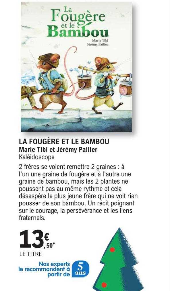 la fougère et le bambou - marie tibi et jérémy pailler