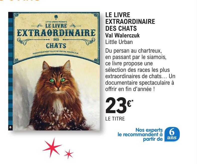 le livre extraordinaire des chats - val walerczuk - little urban