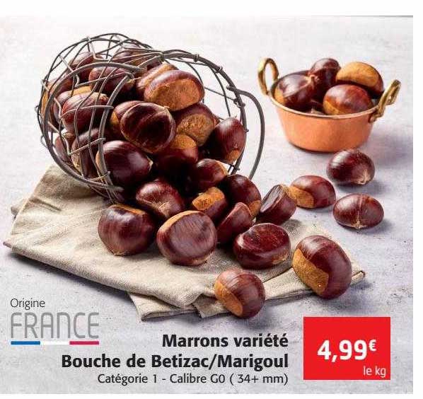 marrons variété bouche de betizac-marigoul
