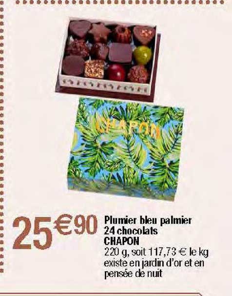plumier bleu palmier 24 chocolats chapon