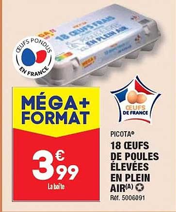 18 œufs de poules élevées en plein air picota