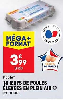 18 œufs de poules élevées en plein air picota