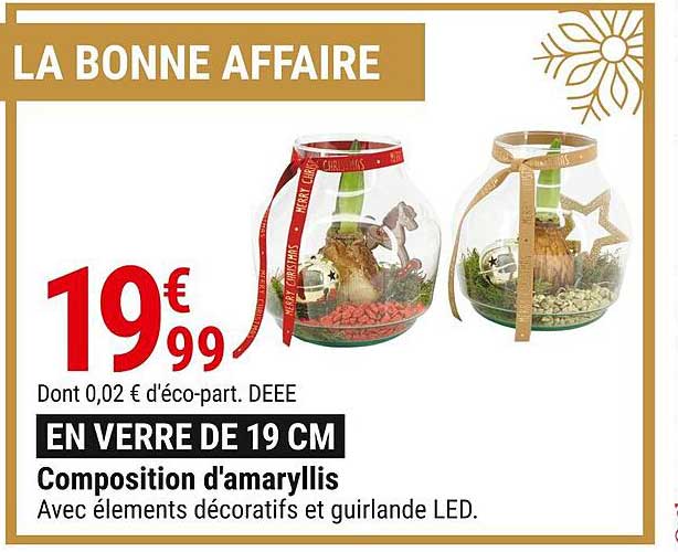 composition d'amaryllis