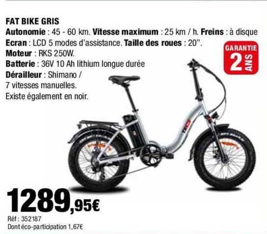 fat bike gris