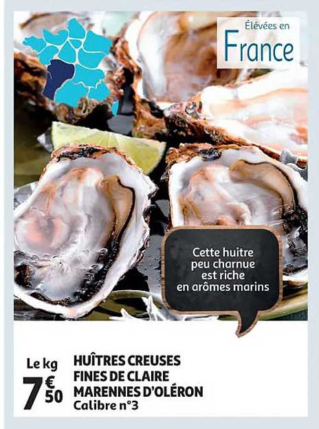 huîtres creuses fines de claire marennes d'oléron