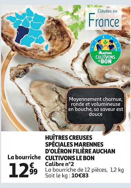 huîtres creuses spéciales marennes d'oléron  filière auchan cultivons le bon