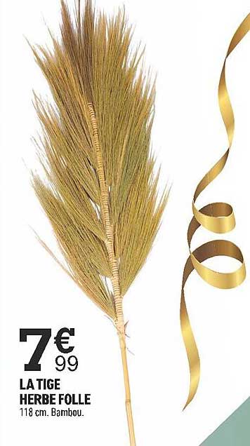 la tige herbe folle