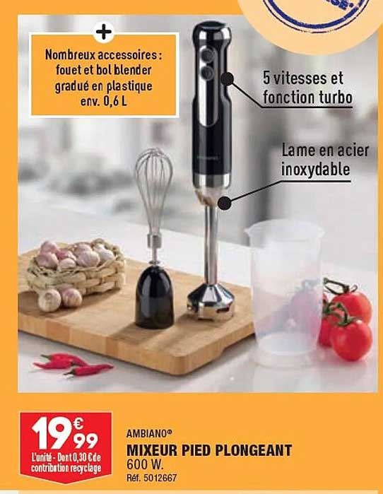 Mixeur Pied Plongeant Ambiano