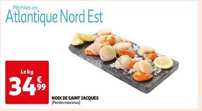 noix de saint jacques