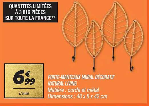 Porte-manteaux Mural Décoratif Natural Living