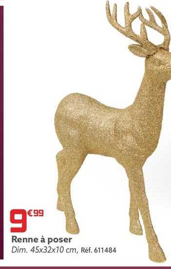 renne à poser