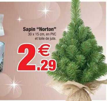 sapin "norton"