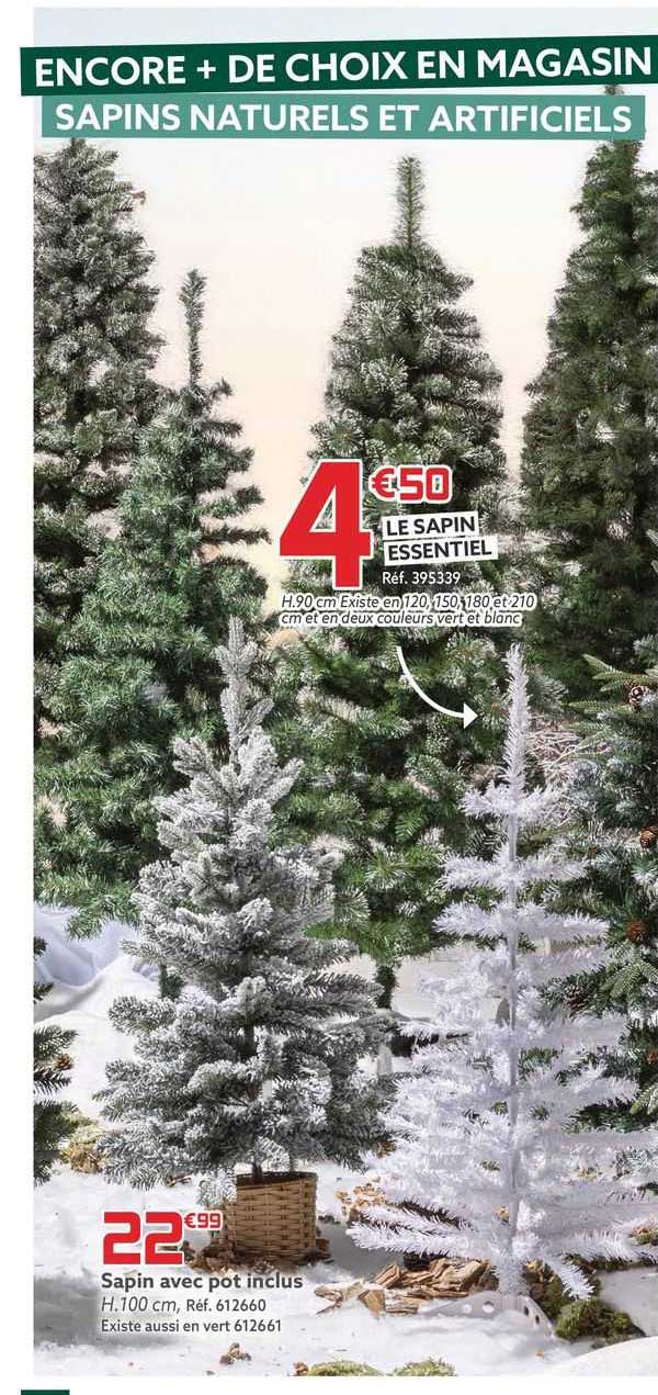 sapin avec pot inclus ou le sapin essentiel