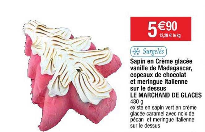 sapin en crème glacée vanille de madagascar, copeaux de chocolat et meringue italienne sur le dessus le marchand de glaces
