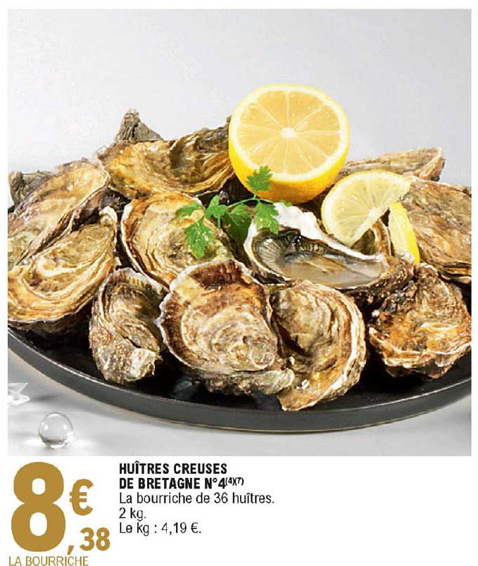 huîtres creuses de bretagne n°4