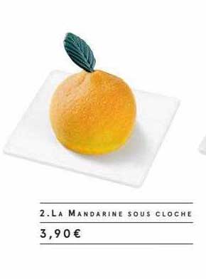 la mandarine sous cloche