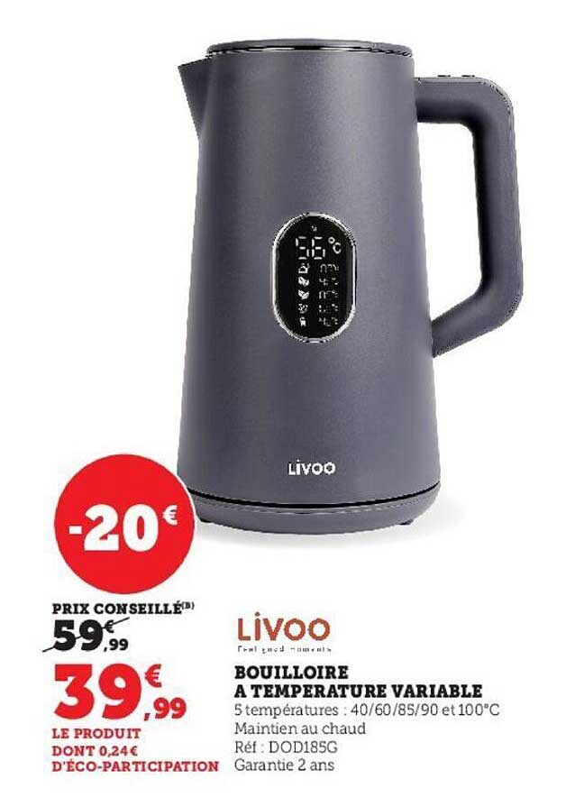 bouilloire à température variable livoo